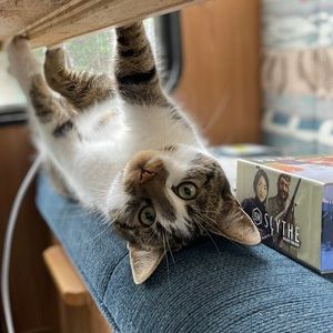 Meet your Posher, Paige